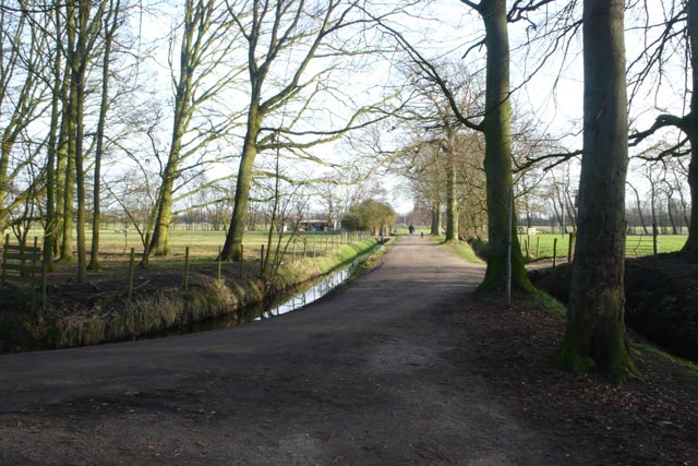 bos en open landschap